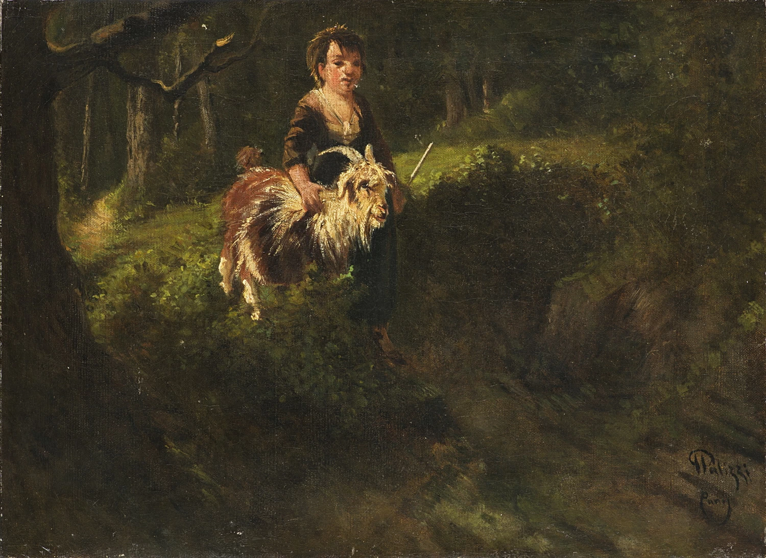 Pastorella nel bosco